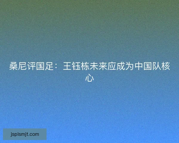 桑尼评国足:王钰栋未来应成为中国队核心 桑尼评国足:王钰栋未来应成为中国队核心