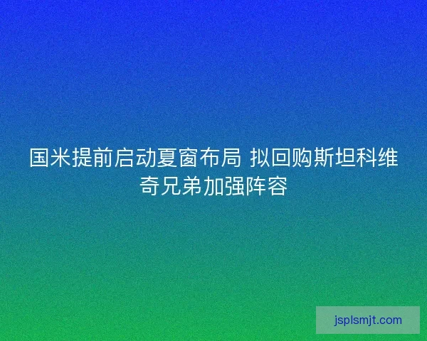 国米提前启动夏窗布局 拟回购斯坦科维奇兄弟加强阵容